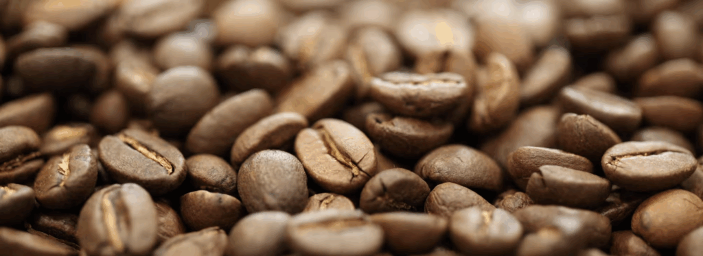 スクリーンショット 2025 10 22 13.28.03